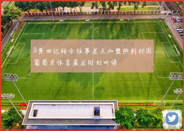 B费回忆转会往事差点加盟热刺却因葡萄牙体育最后时刻叫停